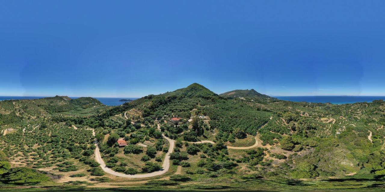 Dafni Vakantiehuis Vasilikí
