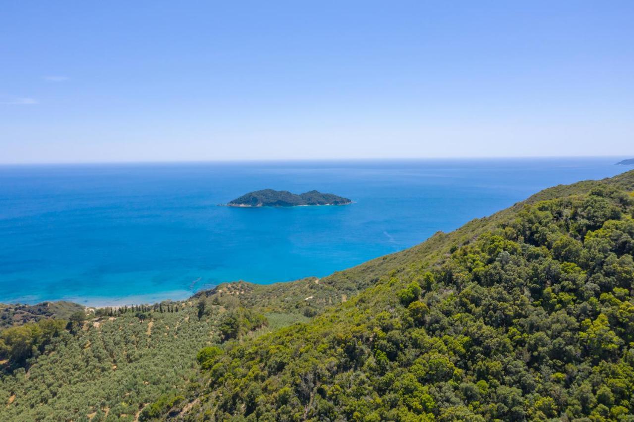 Holiday home Dafni Vasilikos (Zakynthos)